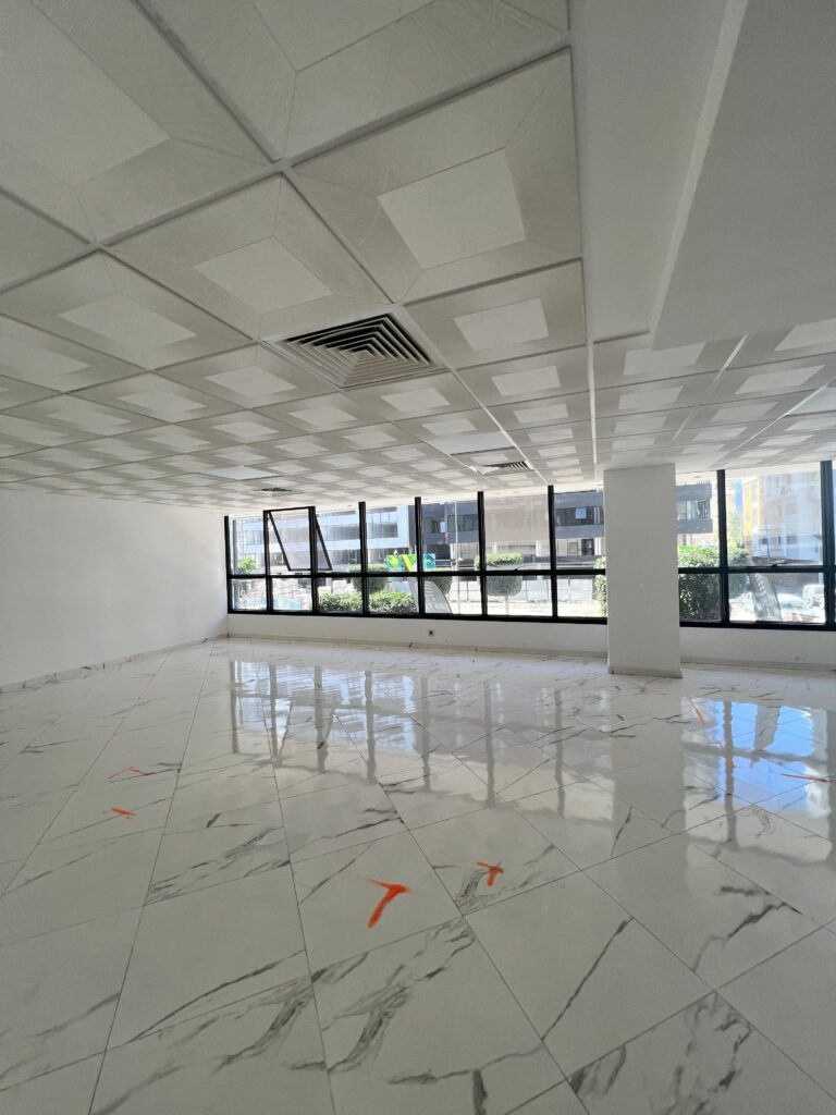 Plateaux bureaux à mimosas